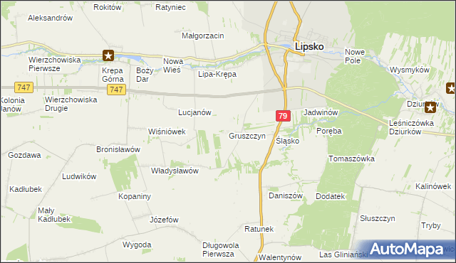 mapa Gruszczyn gmina Lipsko, Gruszczyn gmina Lipsko na mapie Targeo