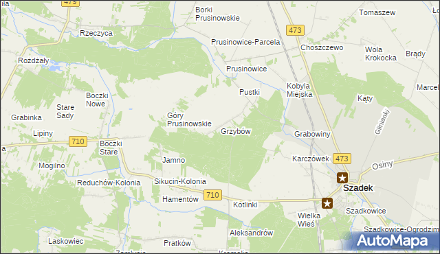 mapa Grzybów gmina Szadek, Grzybów gmina Szadek na mapie Targeo