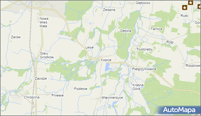 mapa Kopice gmina Grodków, Kopice gmina Grodków na mapie Targeo