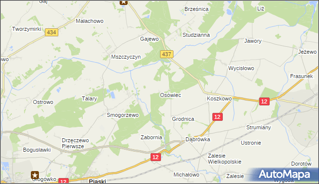 mapa Osówiec gmina Borek Wielkopolski, Osówiec gmina Borek Wielkopolski na mapie Targeo