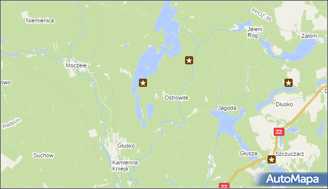 mapa Ostrowite gmina Dobiegniew, Ostrowite gmina Dobiegniew na mapie Targeo