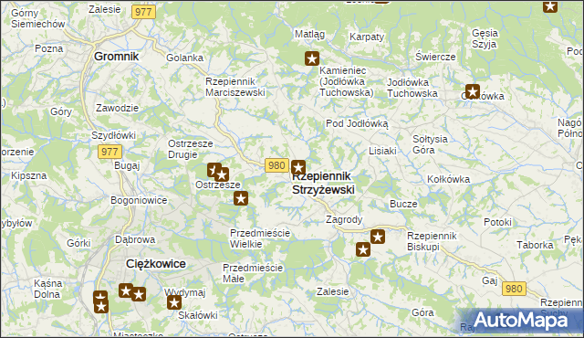 mapa Rzepiennik Strzyżewski, Rzepiennik Strzyżewski na mapie Targeo
