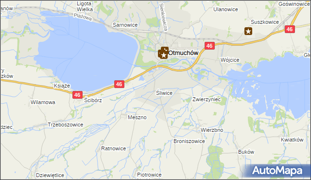 mapa Śliwice gmina Otmuchów, Śliwice gmina Otmuchów na mapie Targeo