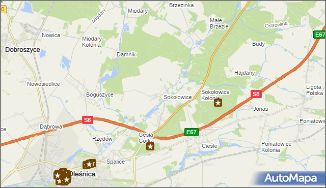 mapa Sokołowice gmina Oleśnica, Sokołowice gmina Oleśnica na mapie Targeo