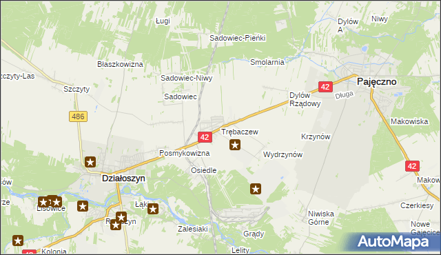 mapa Trębaczew gmina Działoszyn, Trębaczew gmina Działoszyn na mapie Targeo