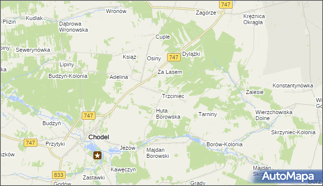mapa Trzciniec gmina Chodel, Trzciniec gmina Chodel na mapie Targeo