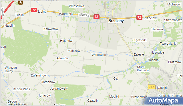 mapa Witkowice gmina Brzeziny, Witkowice gmina Brzeziny na mapie Targeo
