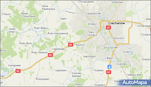 mapa Pęchcin, Pęchcin na mapie Targeo