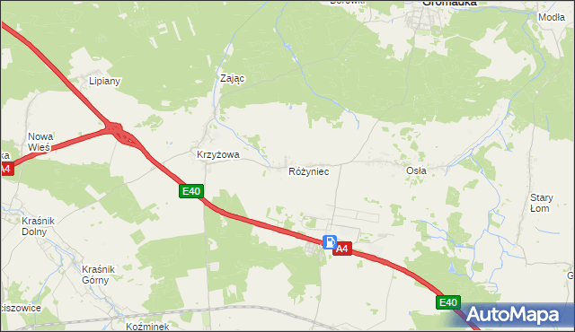 mapa Różyniec, Różyniec na mapie Targeo