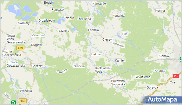 mapa Bąków gmina Międzybórz, Bąków gmina Międzybórz na mapie Targeo