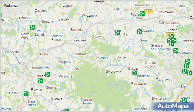 mapa Bieśnik gmina Łużna, Bieśnik gmina Łużna na mapie Targeo