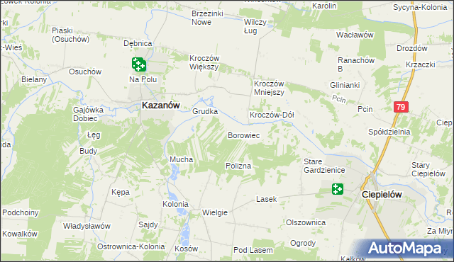 mapa Borowiec gmina Ciepielów, Borowiec gmina Ciepielów na mapie Targeo