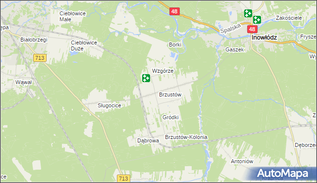 mapa Brzustów gmina Inowłódz, Brzustów gmina Inowłódz na mapie Targeo