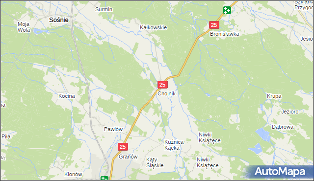 mapa Chojnik gmina Sośnie, Chojnik gmina Sośnie na mapie Targeo