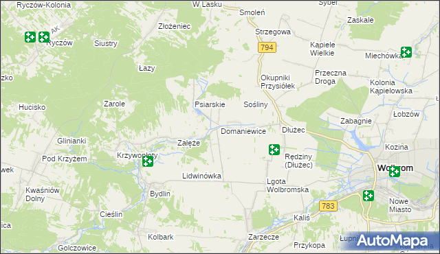 mapa Domaniewice gmina Wolbrom, Domaniewice gmina Wolbrom na mapie Targeo
