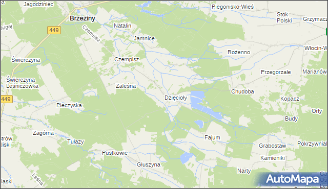 mapa Dzięcioły gmina Brzeziny, Dzięcioły gmina Brzeziny na mapie Targeo