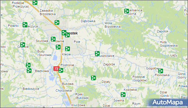 mapa Januszkowice gmina Brzostek, Januszkowice gmina Brzostek na mapie Targeo