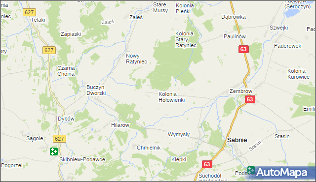 mapa Kolonia Hołowienki, Kolonia Hołowienki na mapie Targeo
