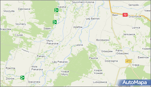 mapa Leśnik gmina Poddębice, Leśnik gmina Poddębice na mapie Targeo