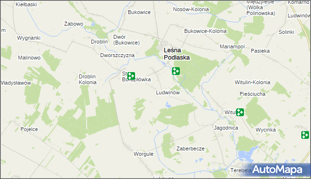 mapa Ludwinów gmina Leśna Podlaska, Ludwinów gmina Leśna Podlaska na mapie Targeo