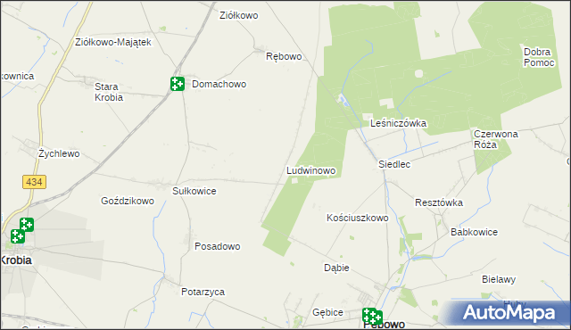 mapa Ludwinowo gmina Pępowo, Ludwinowo gmina Pępowo na mapie Targeo