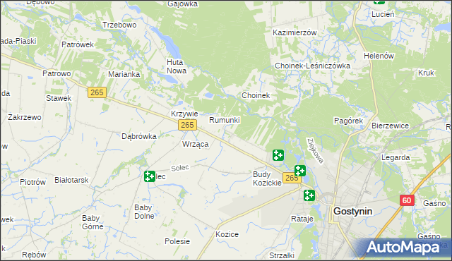 mapa Nagodów gmina Gostynin, Nagodów gmina Gostynin na mapie Targeo