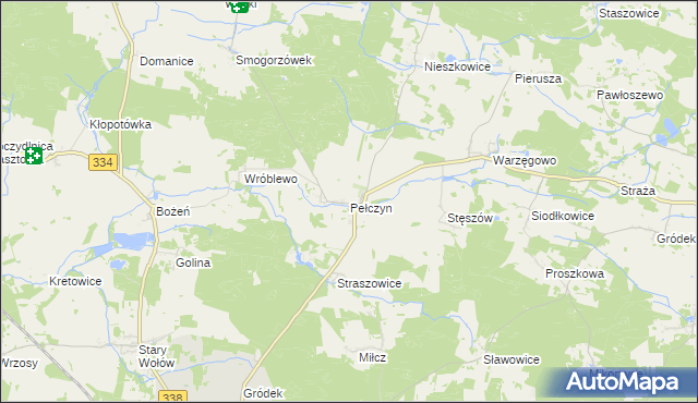mapa Pełczyn gmina Wołów, Pełczyn gmina Wołów na mapie Targeo