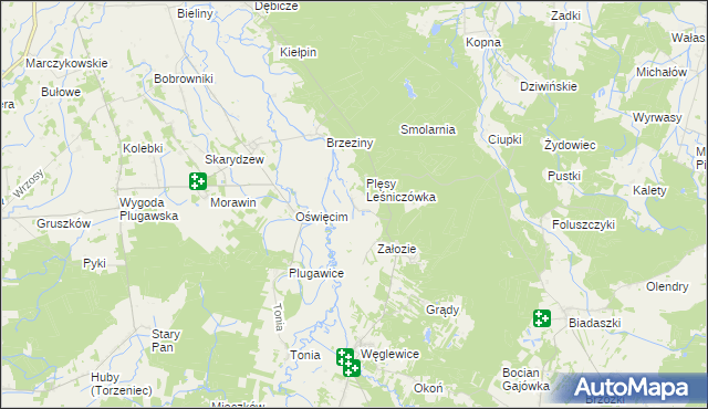 mapa Plęsy gmina Galewice, Plęsy gmina Galewice na mapie Targeo