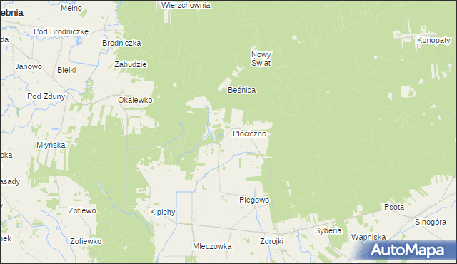 mapa Płociczno gmina Świedziebnia, Płociczno gmina Świedziebnia na mapie Targeo