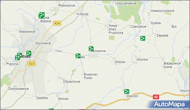 mapa Rostkowice gmina Biała, Rostkowice gmina Biała na mapie Targeo