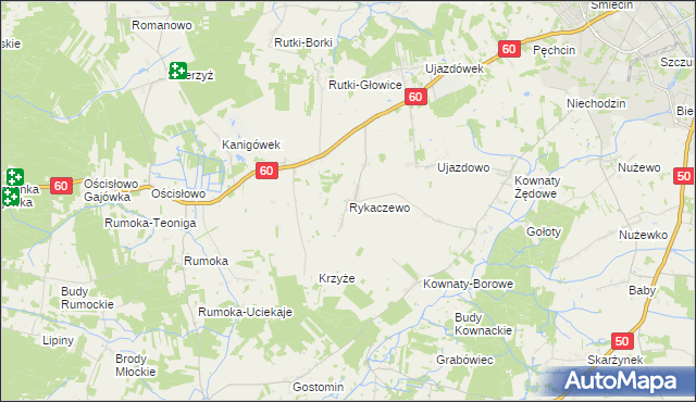 mapa Rykaczewo gmina Ciechanów, Rykaczewo gmina Ciechanów na mapie Targeo