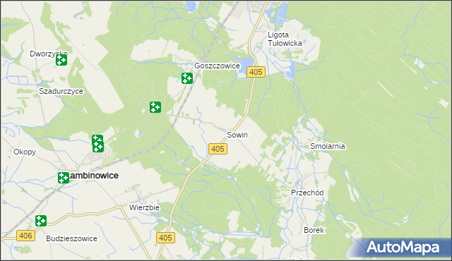 mapa Sowin gmina Łambinowice, Sowin gmina Łambinowice na mapie Targeo