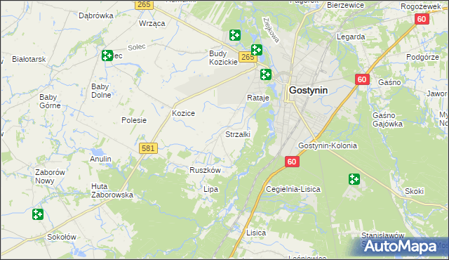 mapa Strzałki gmina Gostynin, Strzałki gmina Gostynin na mapie Targeo