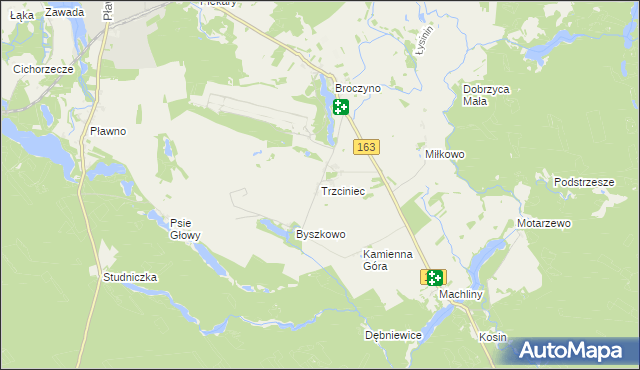 mapa Trzciniec gmina Czaplinek, Trzciniec gmina Czaplinek na mapie Targeo