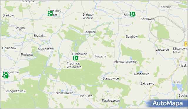 mapa Turzany gmina Wińsko, Turzany gmina Wińsko na mapie Targeo