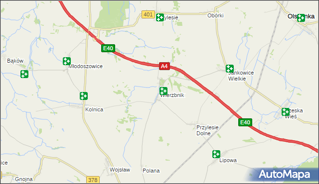 mapa Wierzbnik gmina Grodków, Wierzbnik gmina Grodków na mapie Targeo