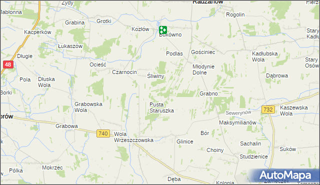 mapa Witoldów gmina Przytyk, Witoldów gmina Przytyk na mapie Targeo