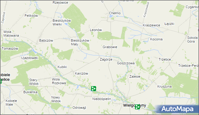 mapa Zagórze gmina Wielgomłyny, Zagórze gmina Wielgomłyny na mapie Targeo