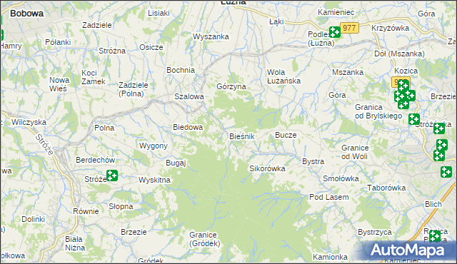 mapa Bieśnik gmina Łużna, Bieśnik gmina Łużna na mapie Targeo