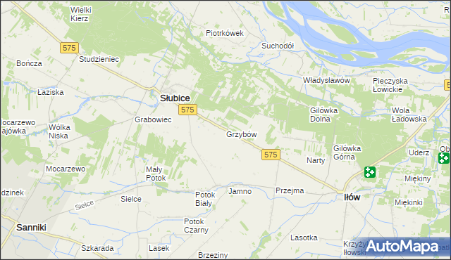 mapa Grzybów gmina Słubice, Grzybów gmina Słubice na mapie Targeo