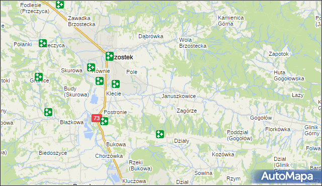 mapa Januszkowice gmina Brzostek, Januszkowice gmina Brzostek na mapie Targeo