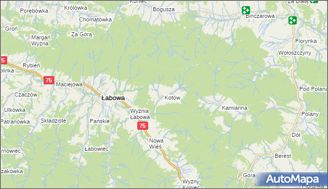 mapa Kotów gmina Łabowa, Kotów gmina Łabowa na mapie Targeo
