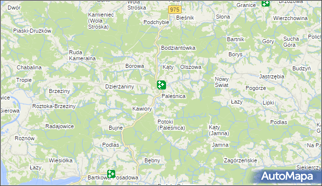 mapa Paleśnica, Paleśnica na mapie Targeo