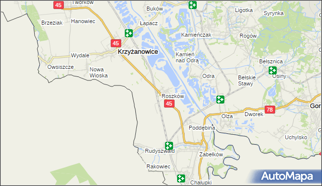 mapa Roszków gmina Krzyżanowice, Roszków gmina Krzyżanowice na mapie Targeo