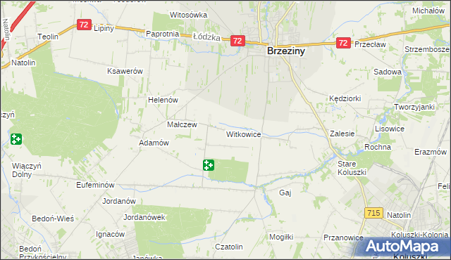 mapa Witkowice gmina Brzeziny, Witkowice gmina Brzeziny na mapie Targeo