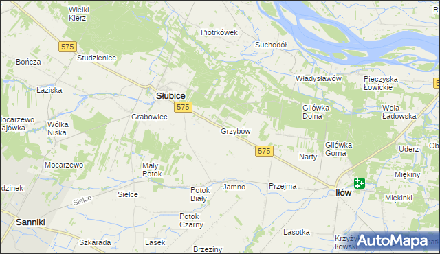 mapa Grzybów gmina Słubice, Grzybów gmina Słubice na mapie Targeo