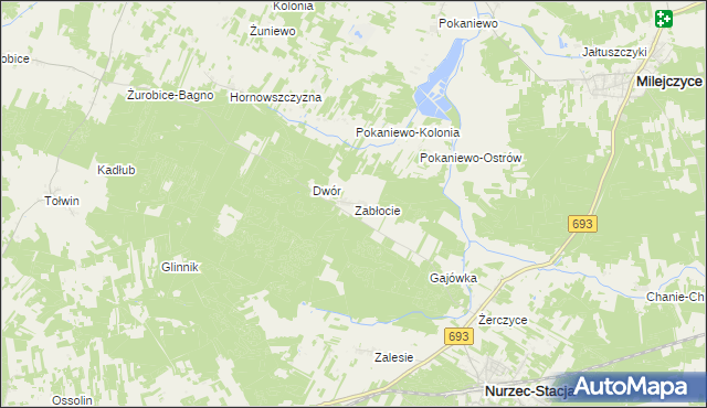 mapa Zabłocie gmina Nurzec-Stacja, Zabłocie gmina Nurzec-Stacja na mapie Targeo