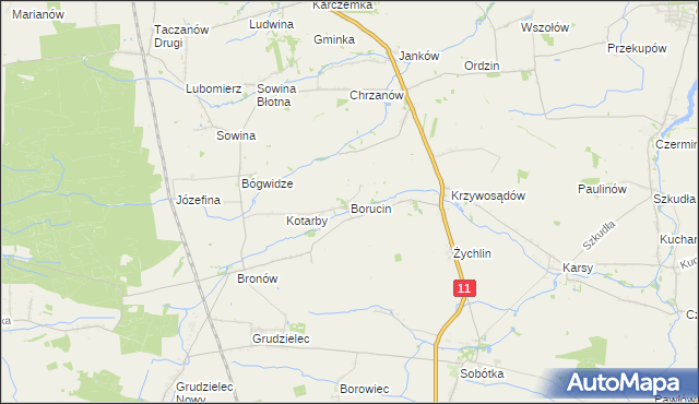 mapa Borucin gmina Pleszew, Borucin gmina Pleszew na mapie Targeo