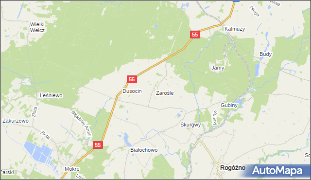 mapa Zarośle gmina Rogóźno, Zarośle gmina Rogóźno na mapie Targeo