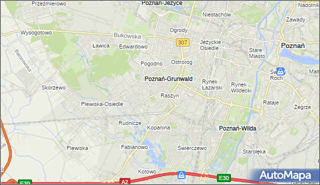 mapa Raszyn gmina Poznań, Raszyn gmina Poznań na mapie Targeo